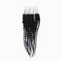 Ms. Luxury 12-20 Inch 5"x5" Deep Wave Transparent Lace Closure #1B